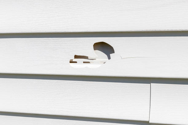 Custom Trim and Detailing for Siding in Chino, CA